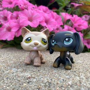 Meet your Posher, Lyndsey